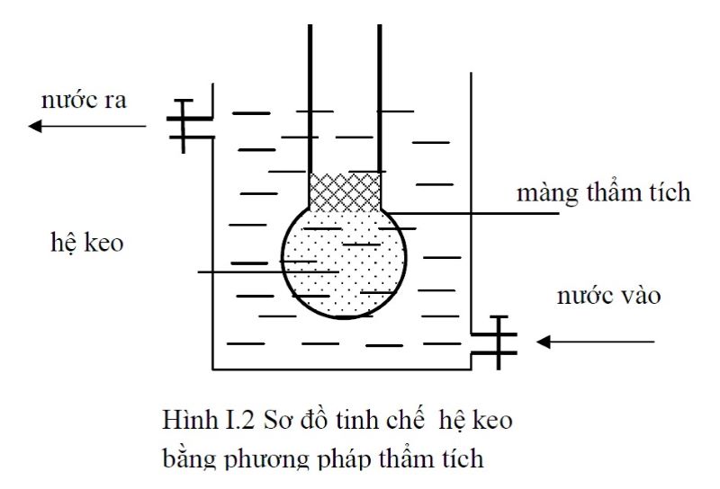 Tinh chế keo bằng phương pháp thẩm tích